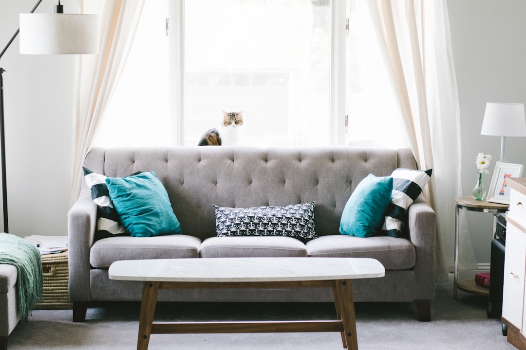Modular vs Traditional Sofas: Pros, Cons, and Best Picks