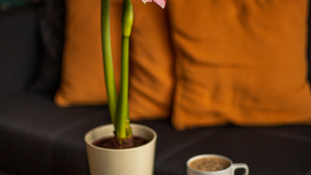 The Complete Room Refresh Guide: Living Room Edition